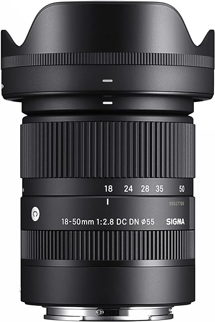 Sigma 18-50 f2.8 for sony e mount (aps-c)