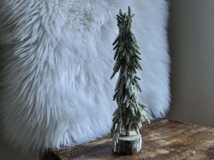 Liten dekorationsgran