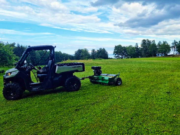 Gräsklippare / betesputs