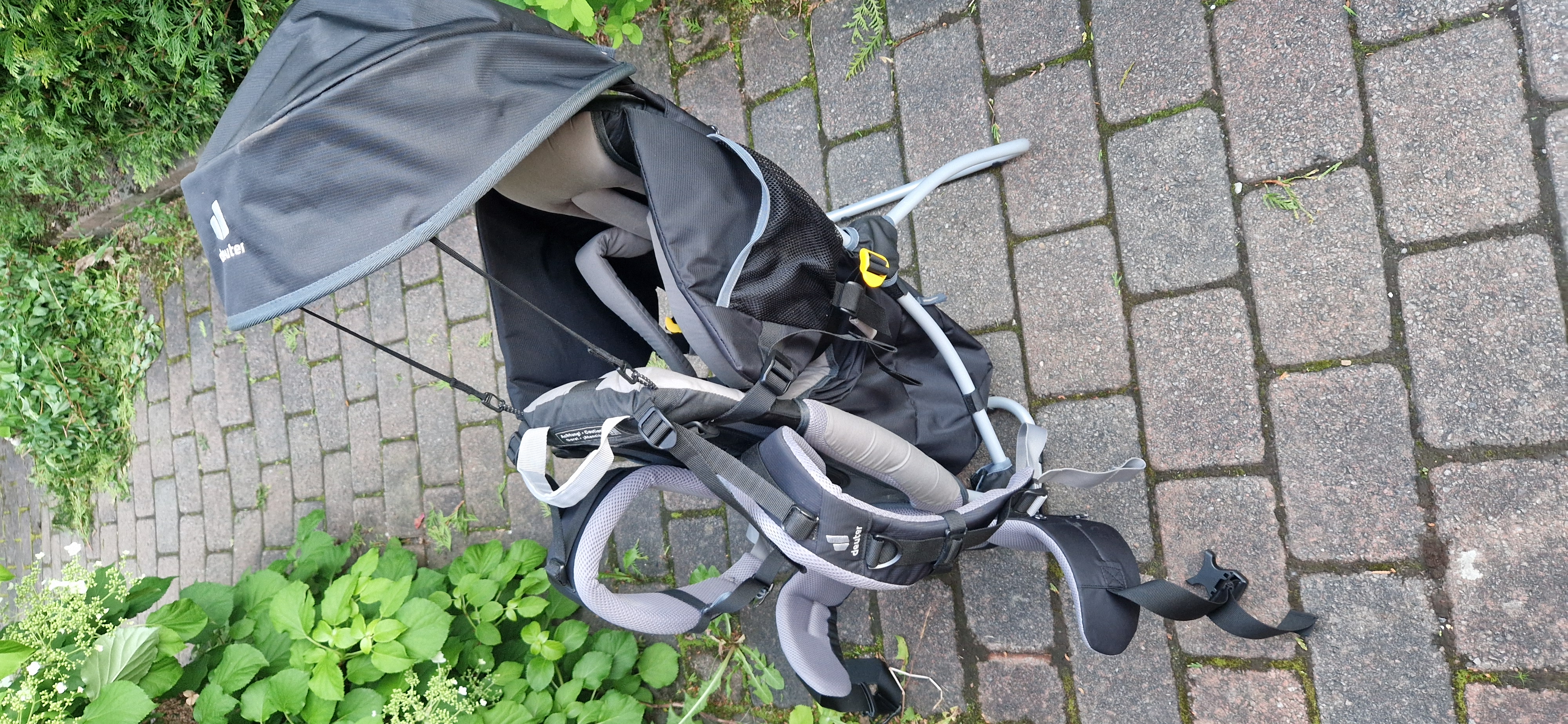 Deuter kid comfort 1 baby hiking bæremeis