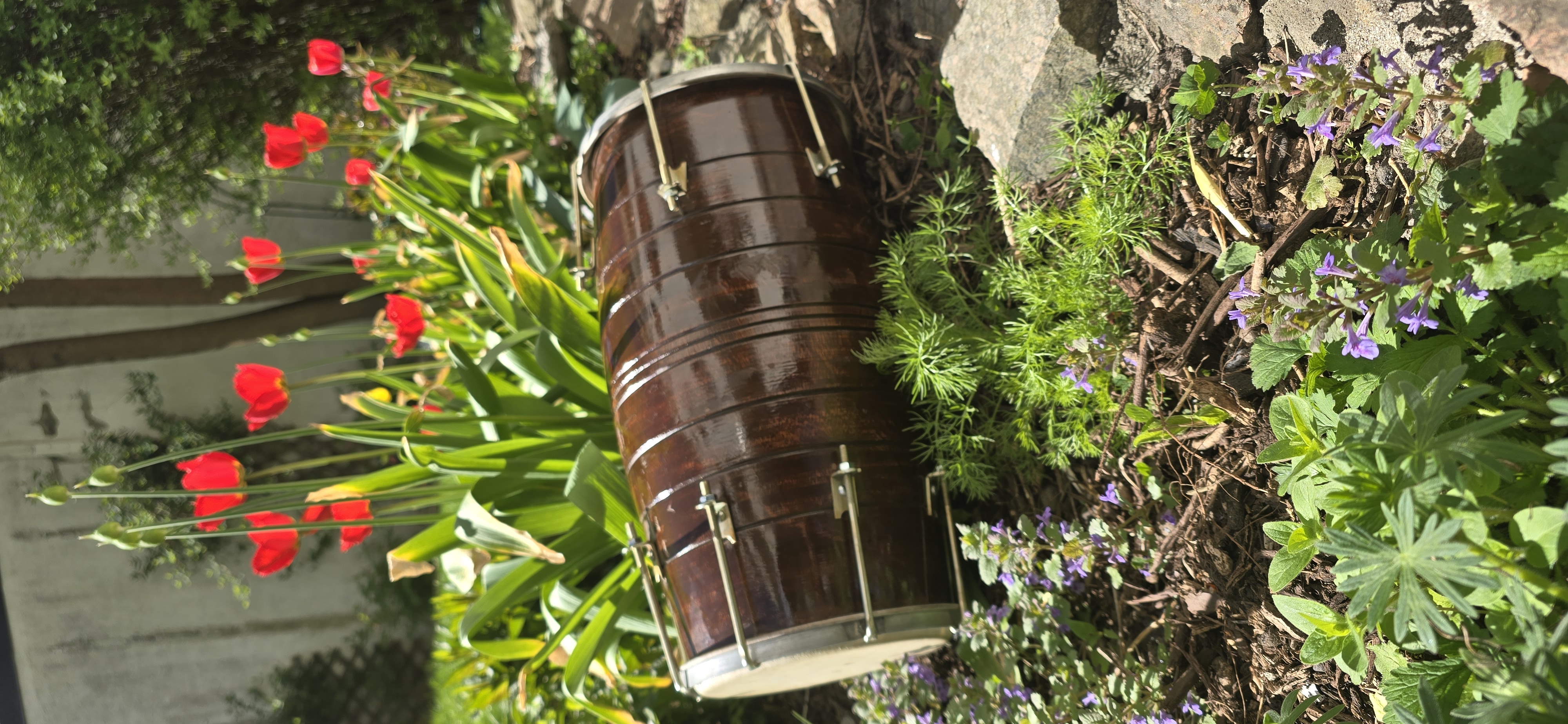 Dholak