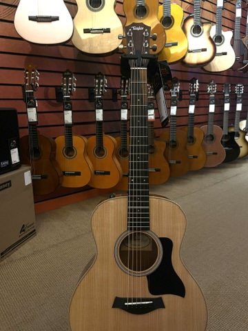 Taylor gs mini-e