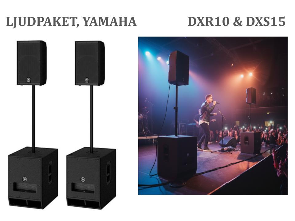 Ljudpaket: yamaha dxr10 & dxs15 (med väderskydd) 