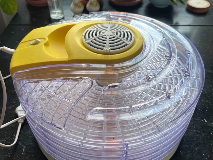 Svamp/frukt/mat-tork