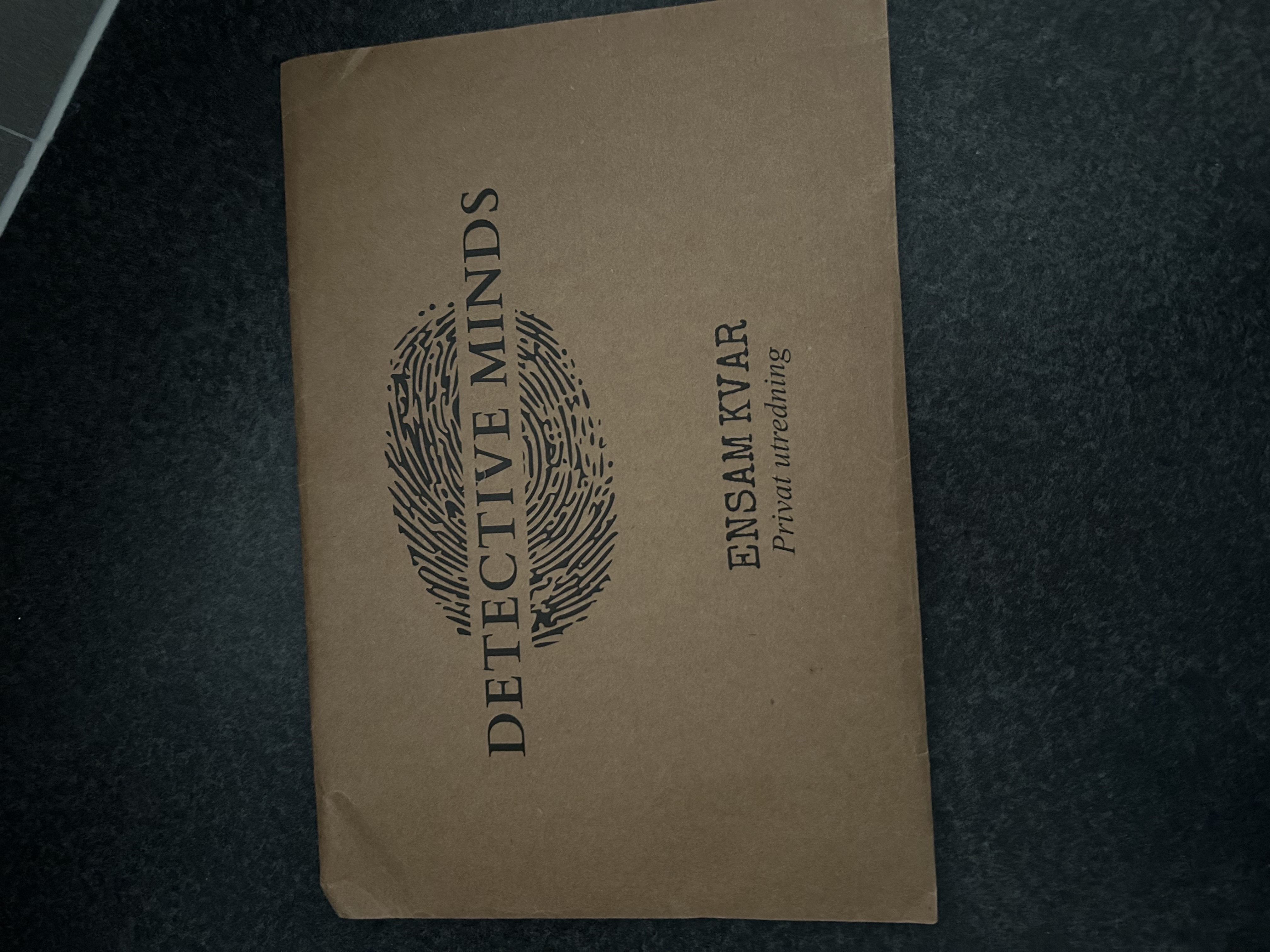 Hidden reality- mordgåtan - dectective minds