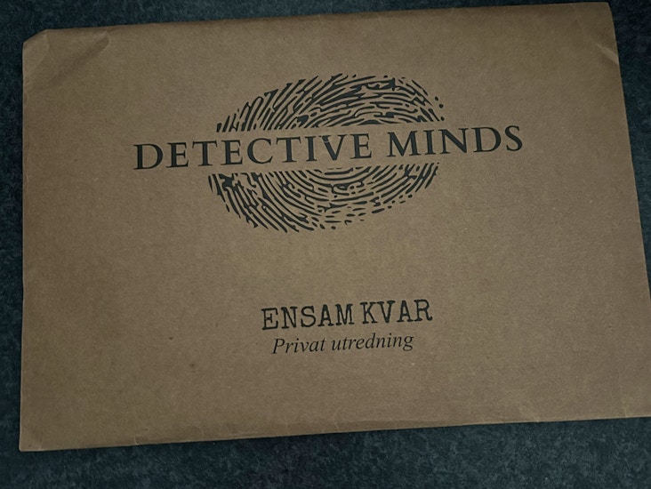 Hidden reality- mordgåtan - dectective minds