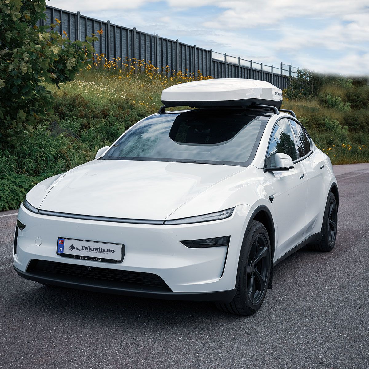 Packline nx twin limited edition til tesla model y | inkl. stativ
