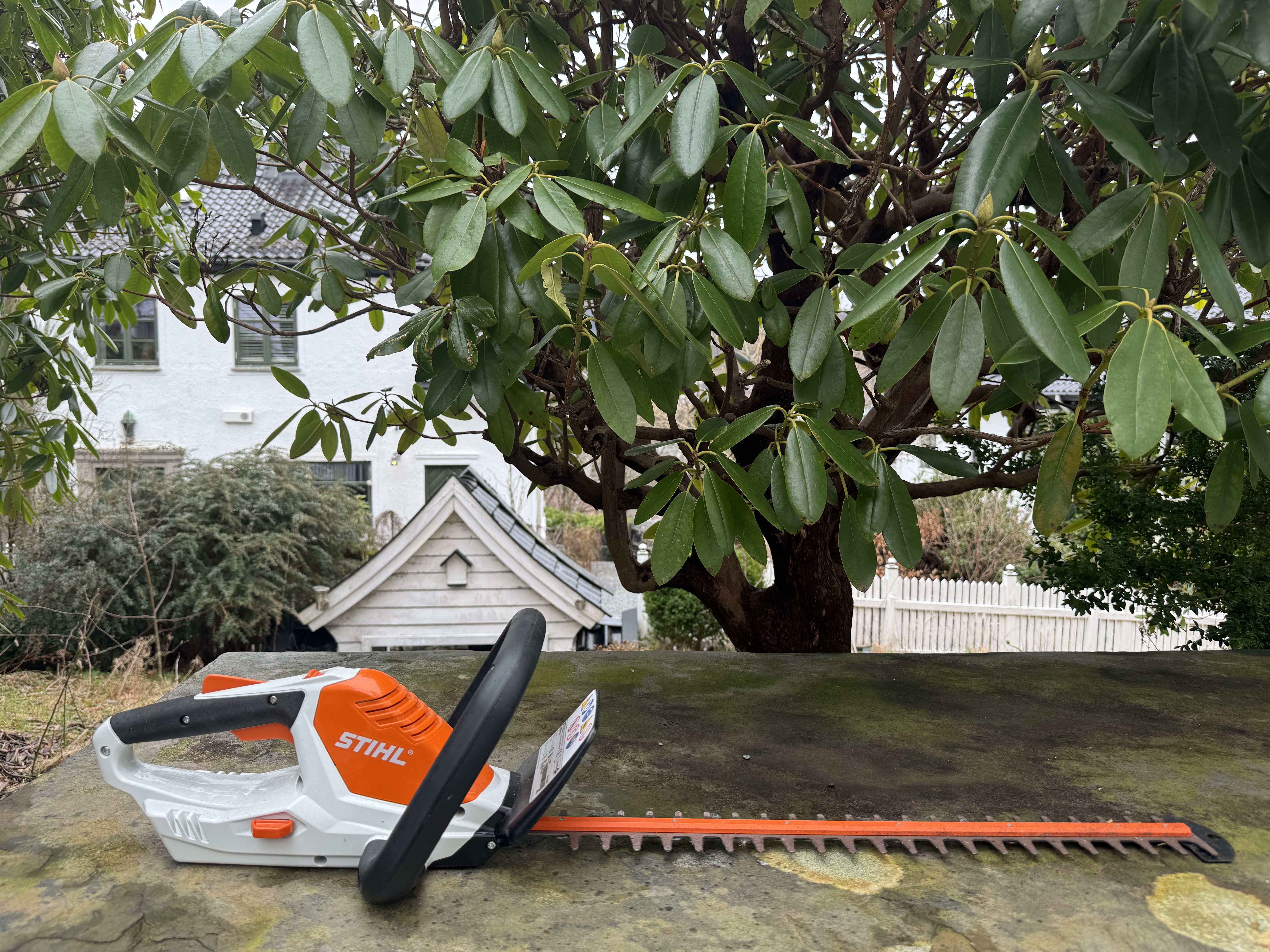 Stihl hekkesaks