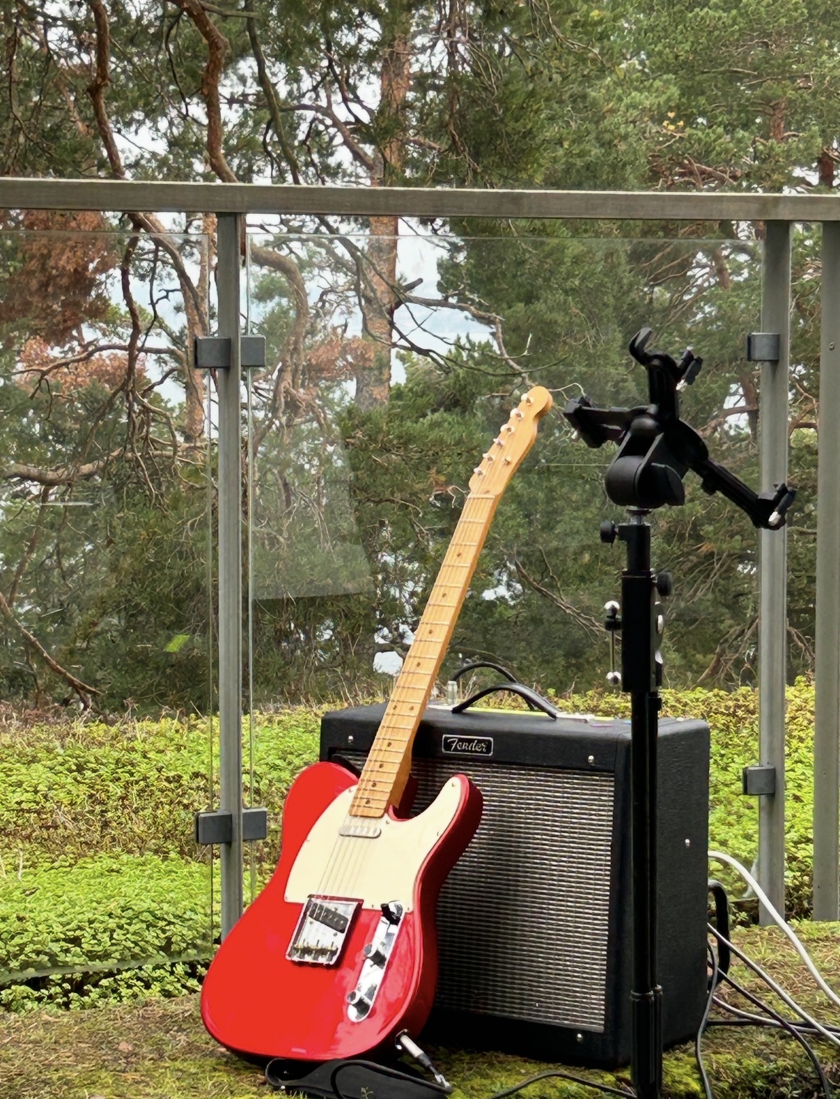 Fender blues jr
