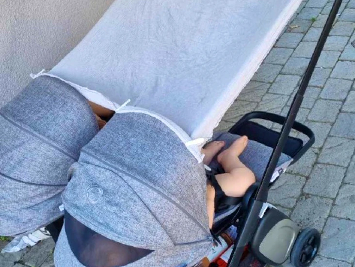 Bugaboo ant fullt liggläge handbagage