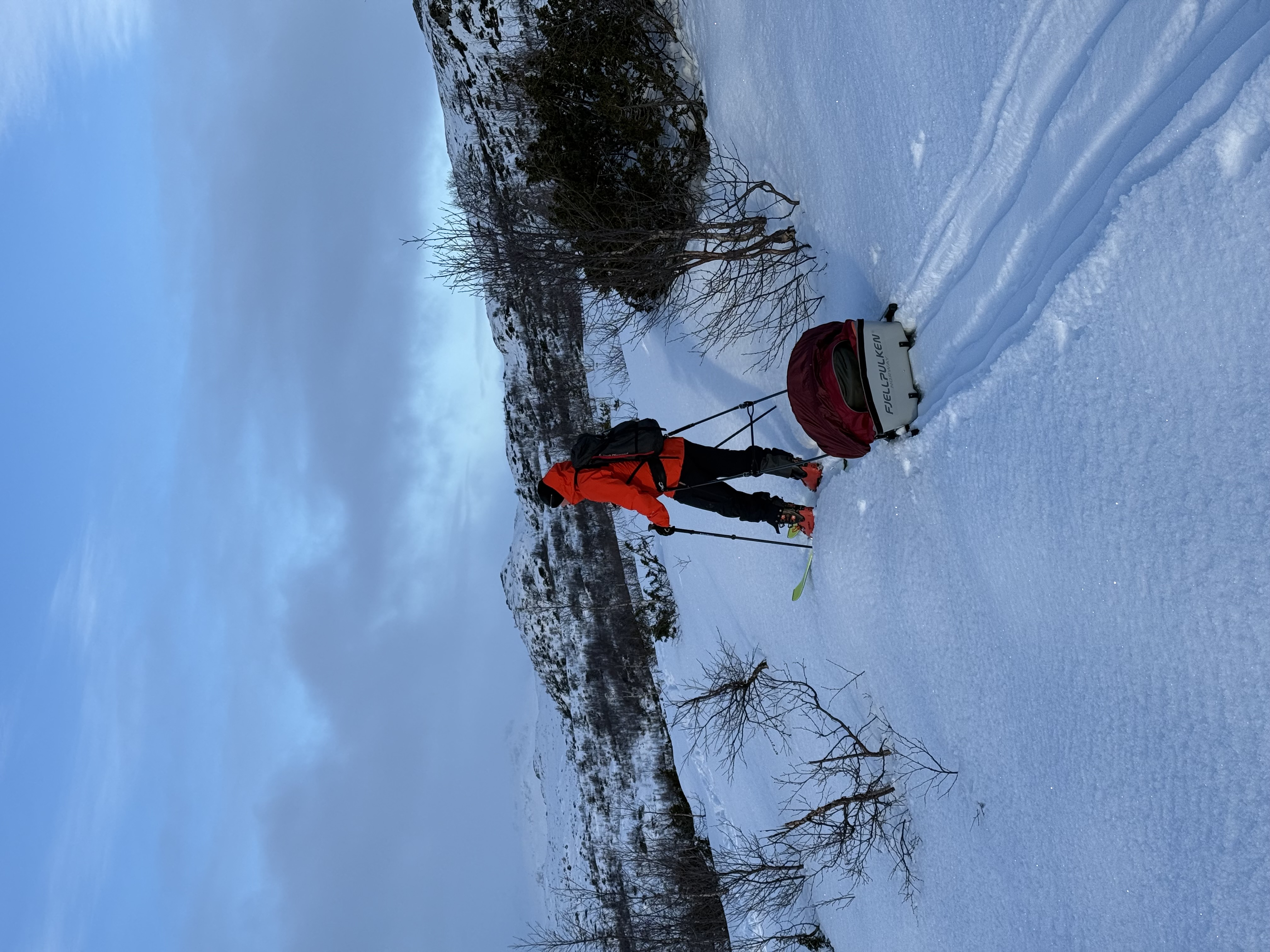 Fjellpulken barnepulk