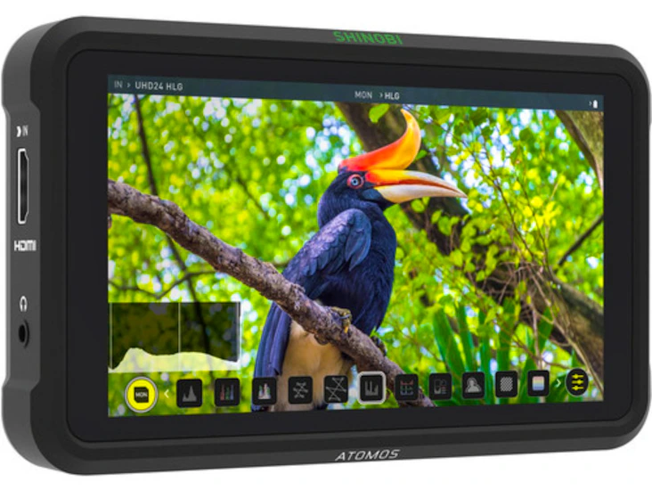 Atomos shinobi
