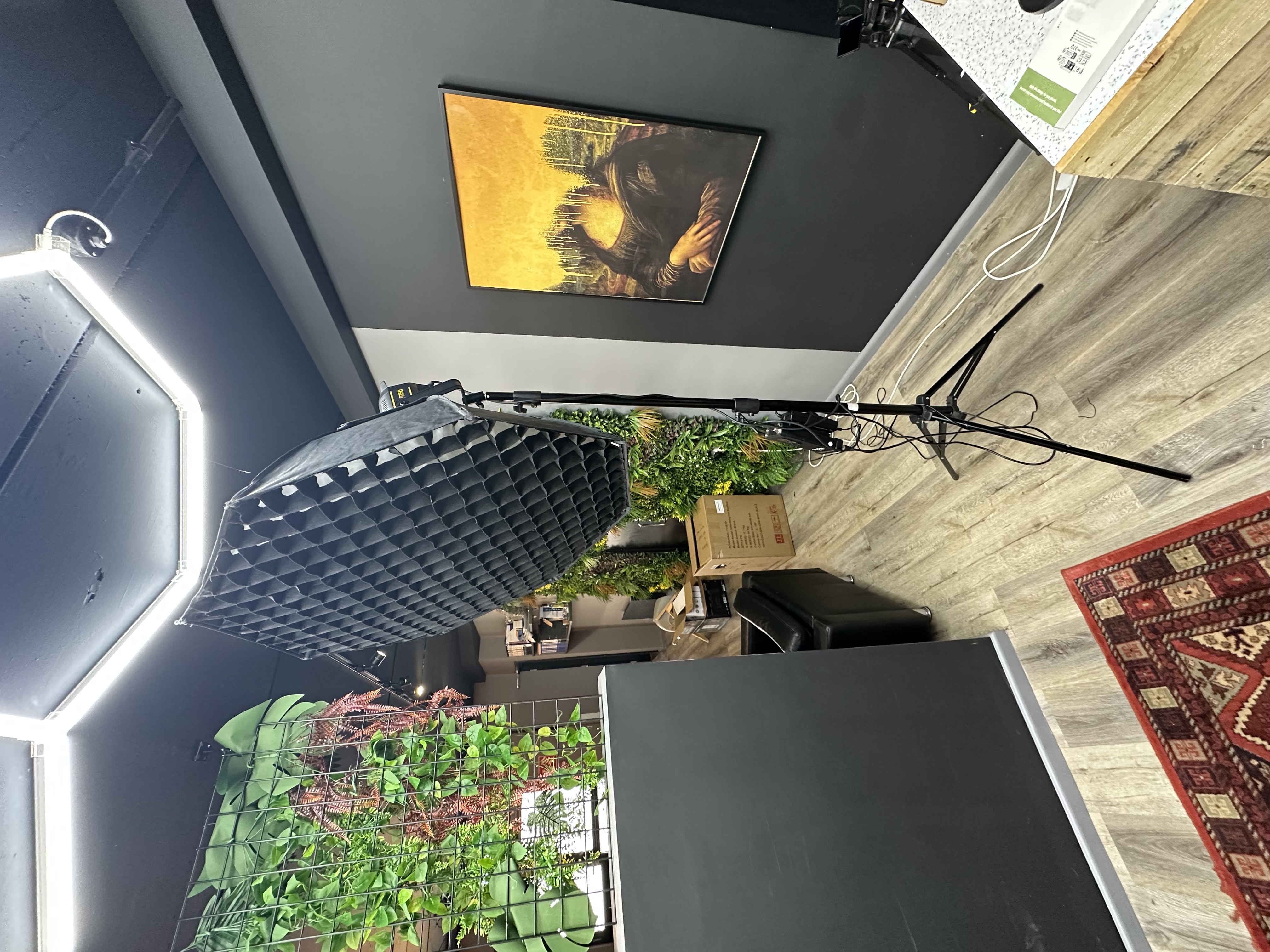 Godox vl150 led light + softbox with honeycomb grid + tripod