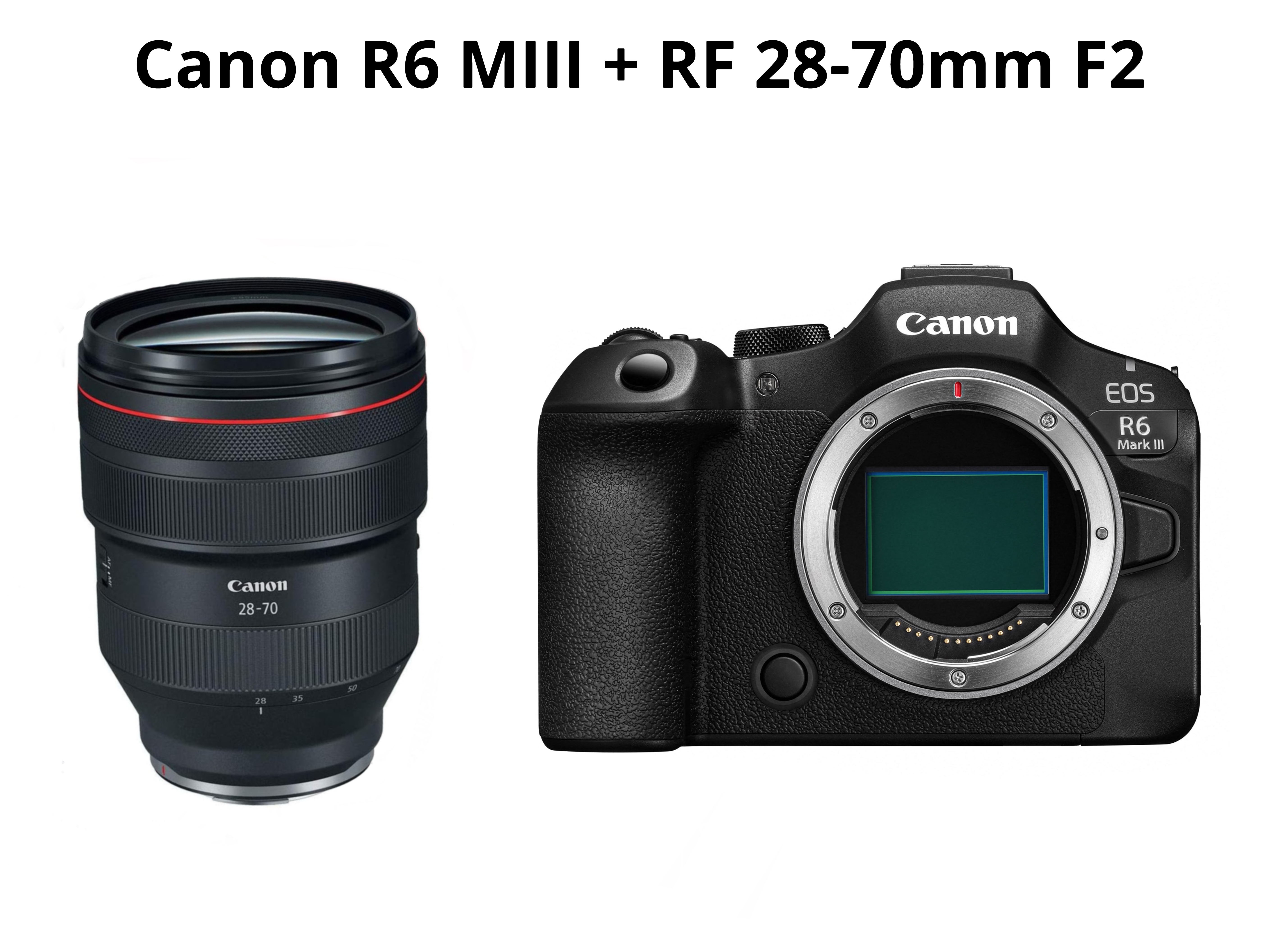 Canon r6 mark iii + rf 28-70mm f2 ( canon eos r6 mark iii - canon r6miii )