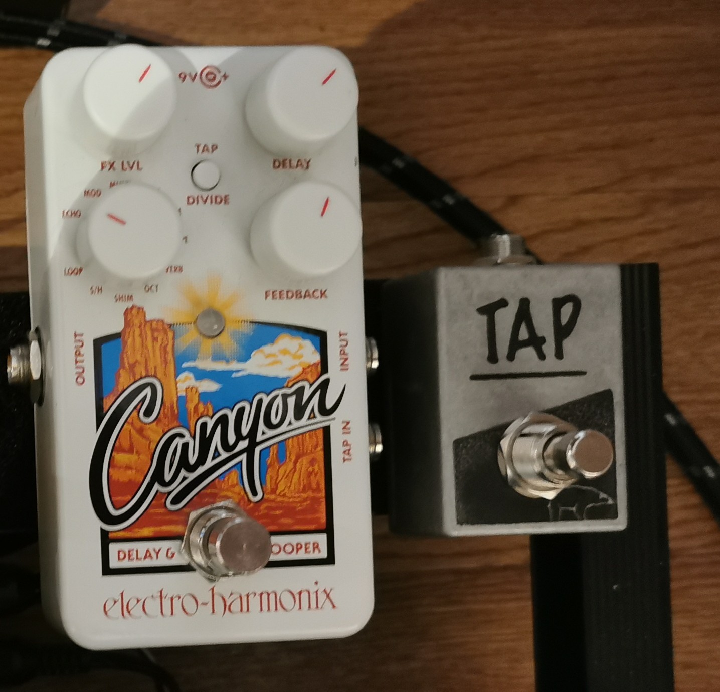 Electro-harmonix canyon - delay & looper pedal + tap-tempo footswitch