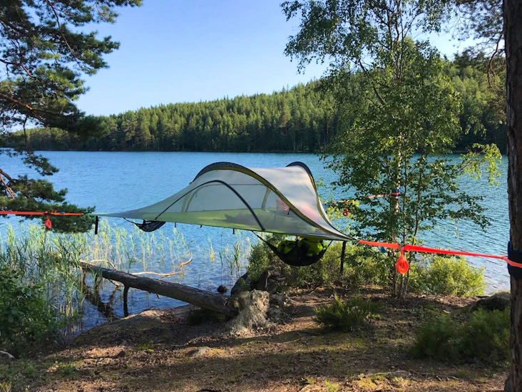 Tentsile stingray