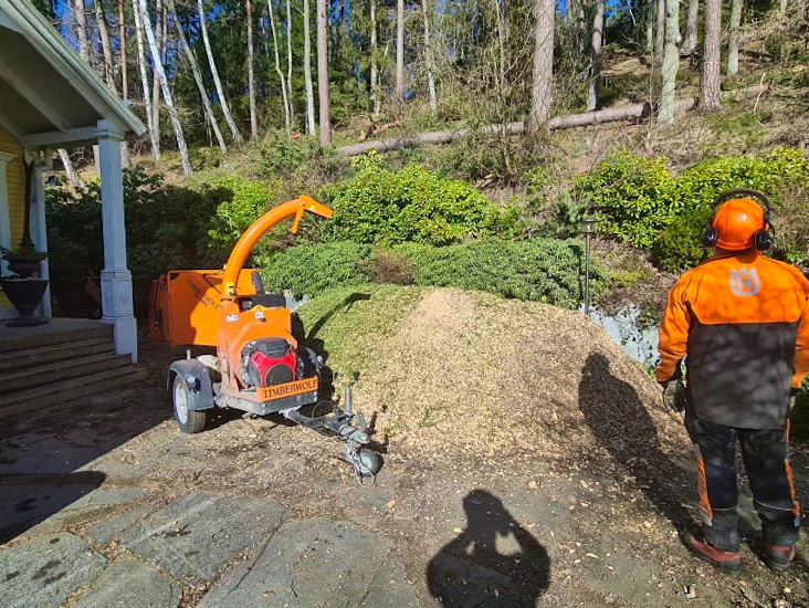 Timberwolf 160 ph wood chipper