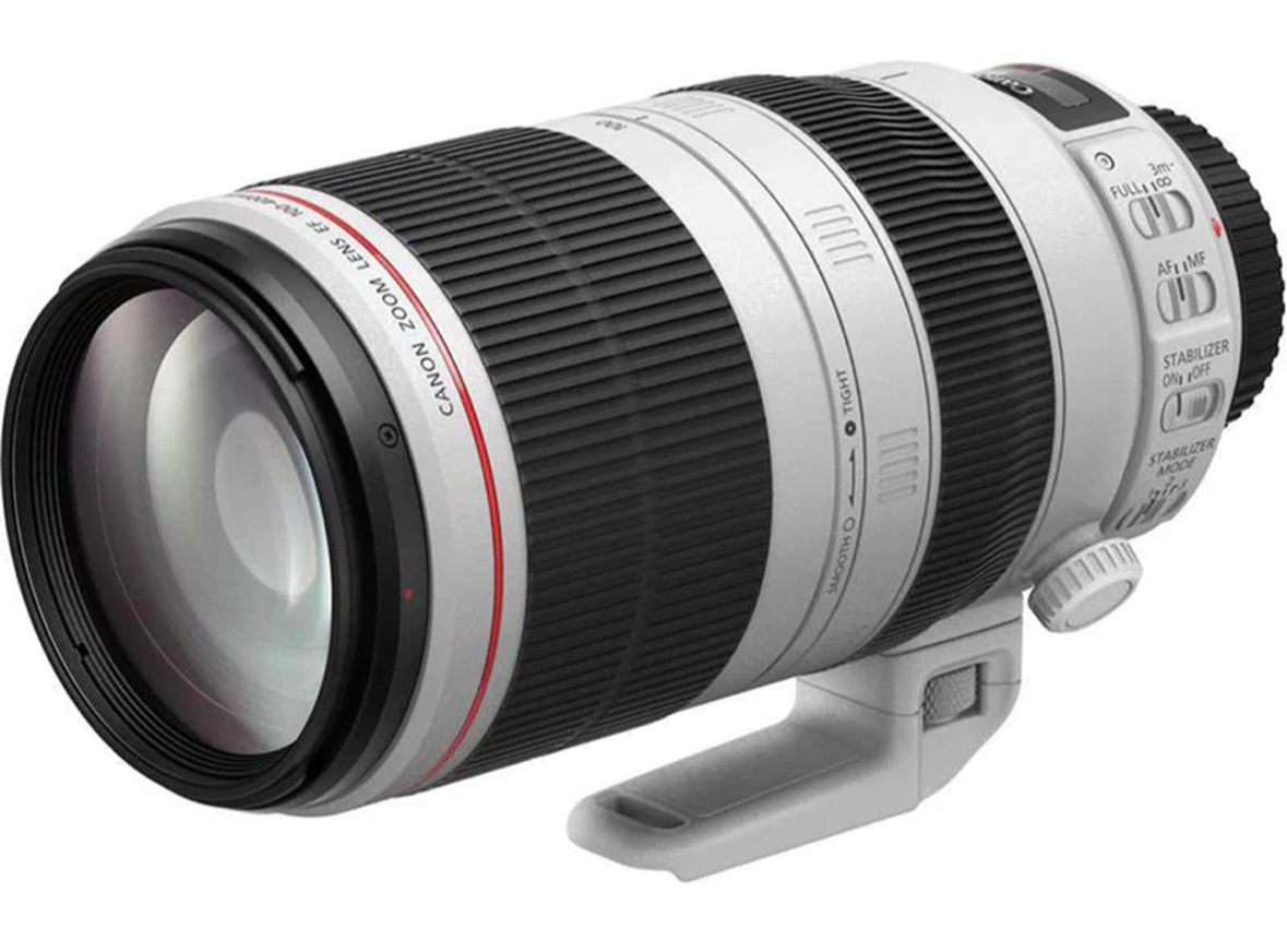 Canon ef 100-400mm f4.5-5.6l is ii usm lens