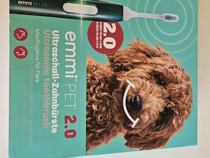 Ultraljudstandborste