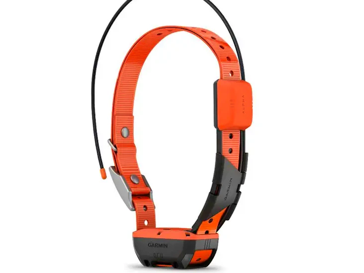 Garmin t20 gps hundebånd