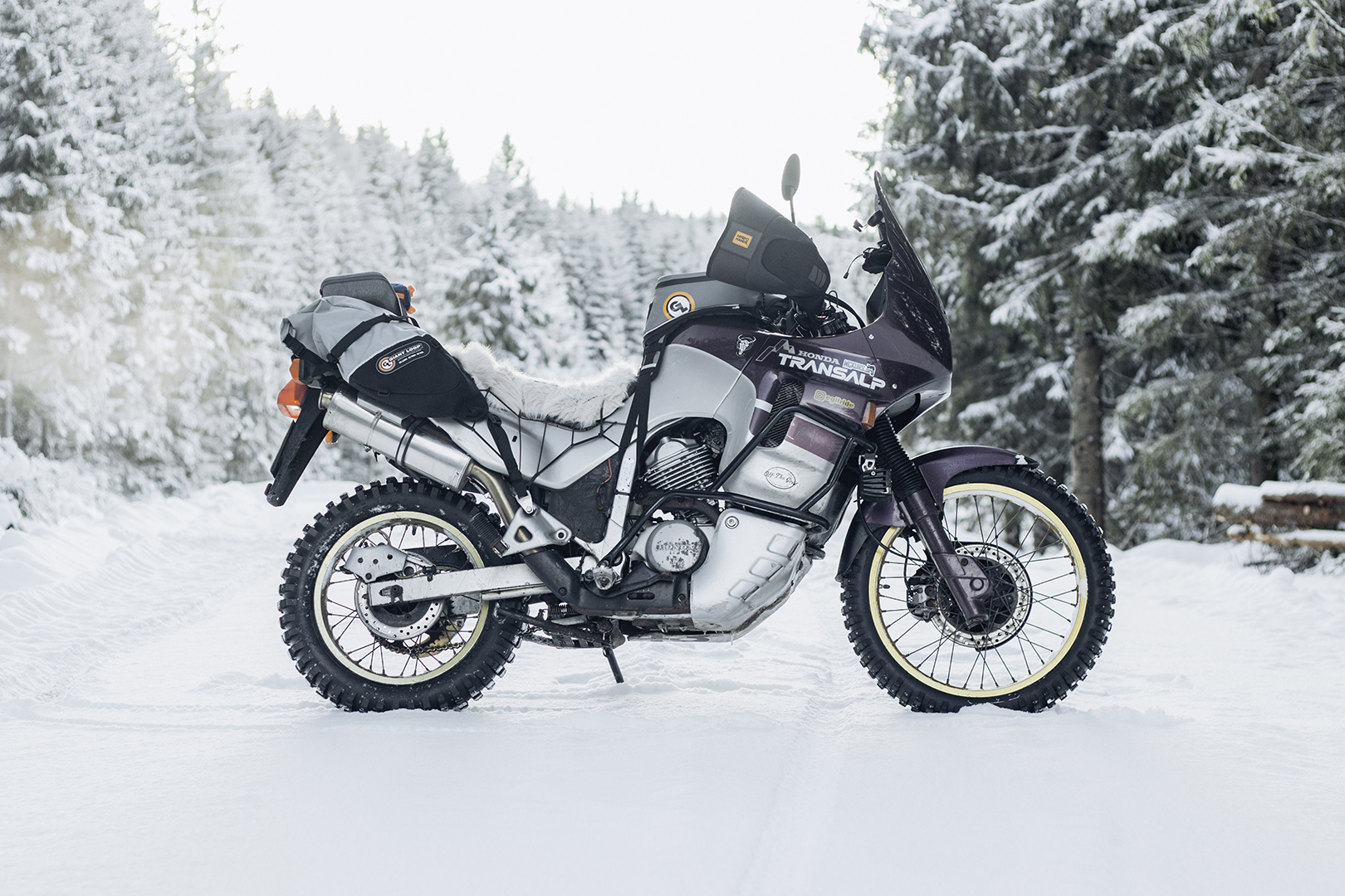 Coyote saddlebag – lett, vanntett og rackless mc-bagasje (39l)