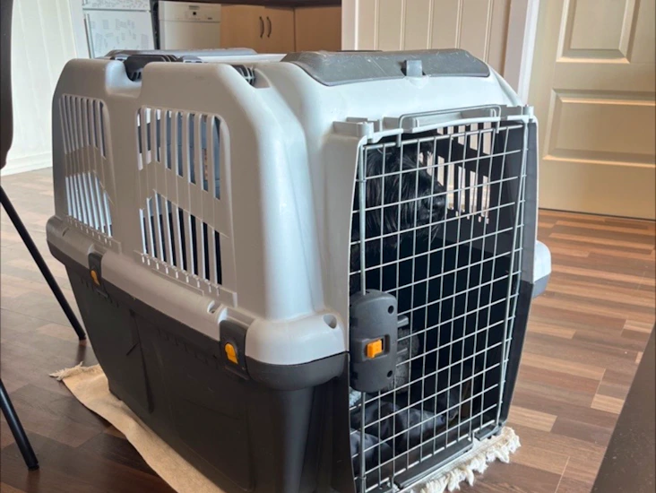 Skudo 5 transportbur