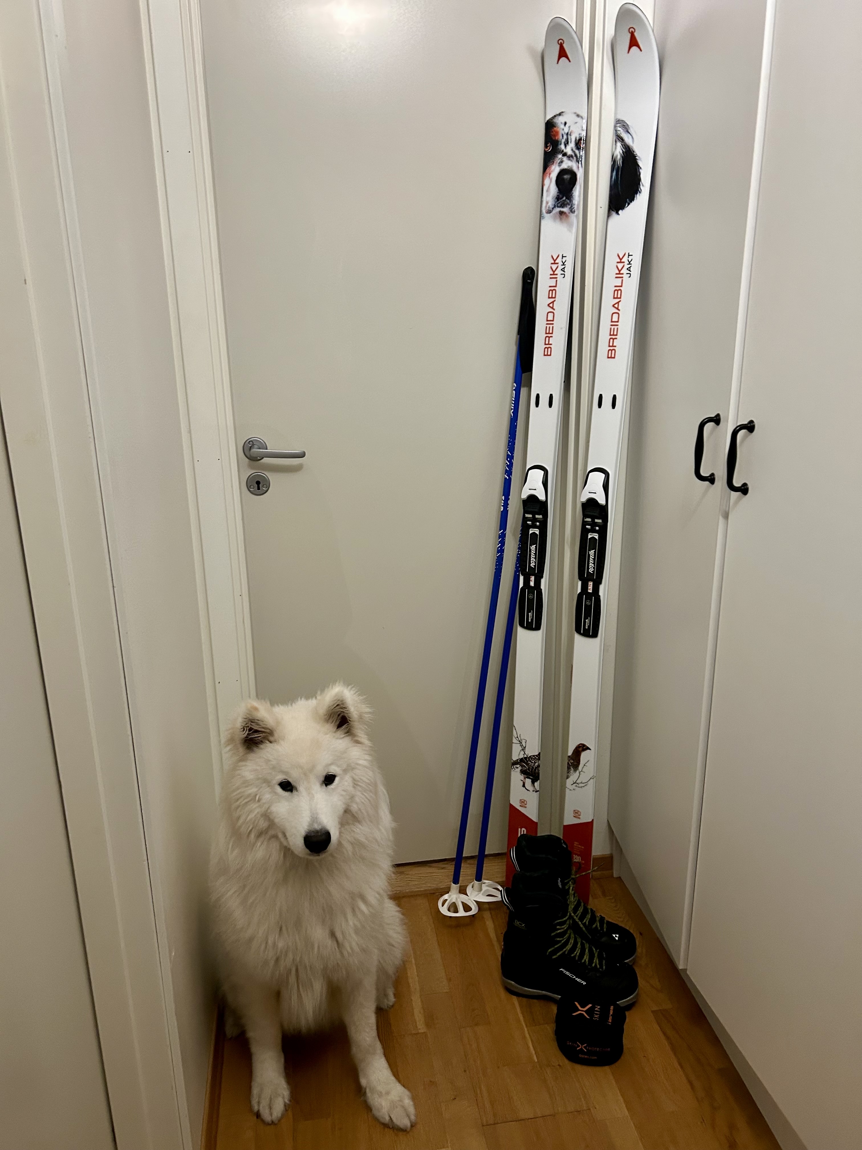 Komplett fjellskipakke 190 cm + størrelse 40