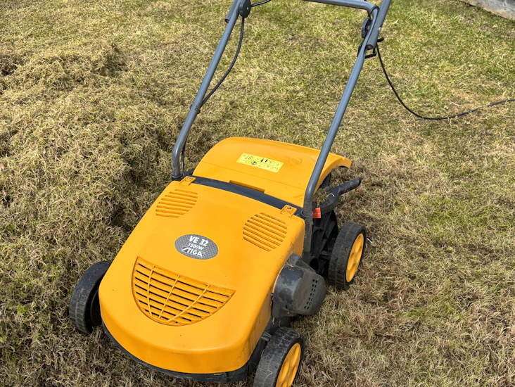 Vertikalskärare mossrivare