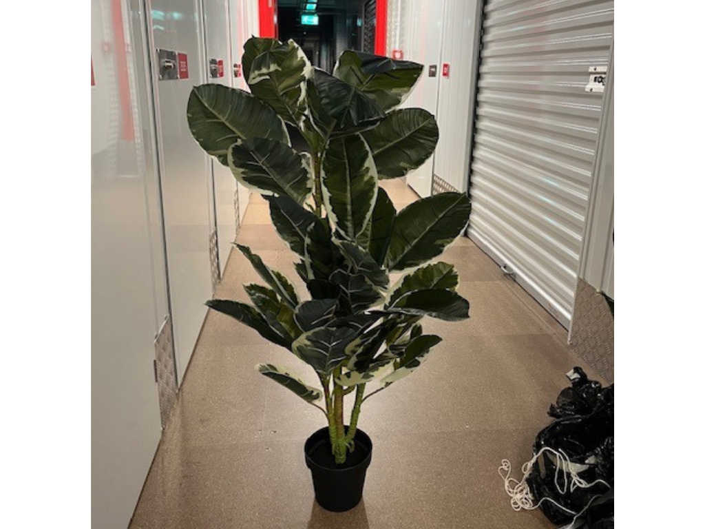 2 x artificial large 110cm rubber ficus x