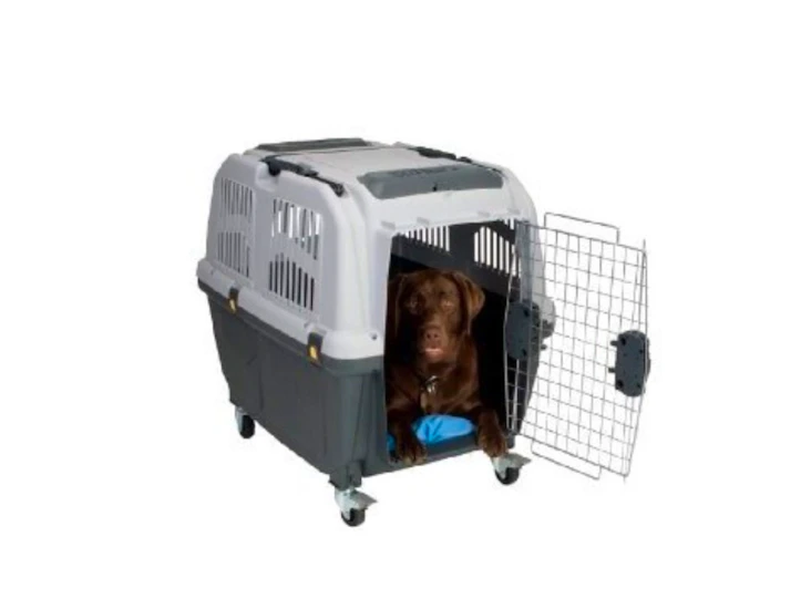 Leier ut en skudo flybur