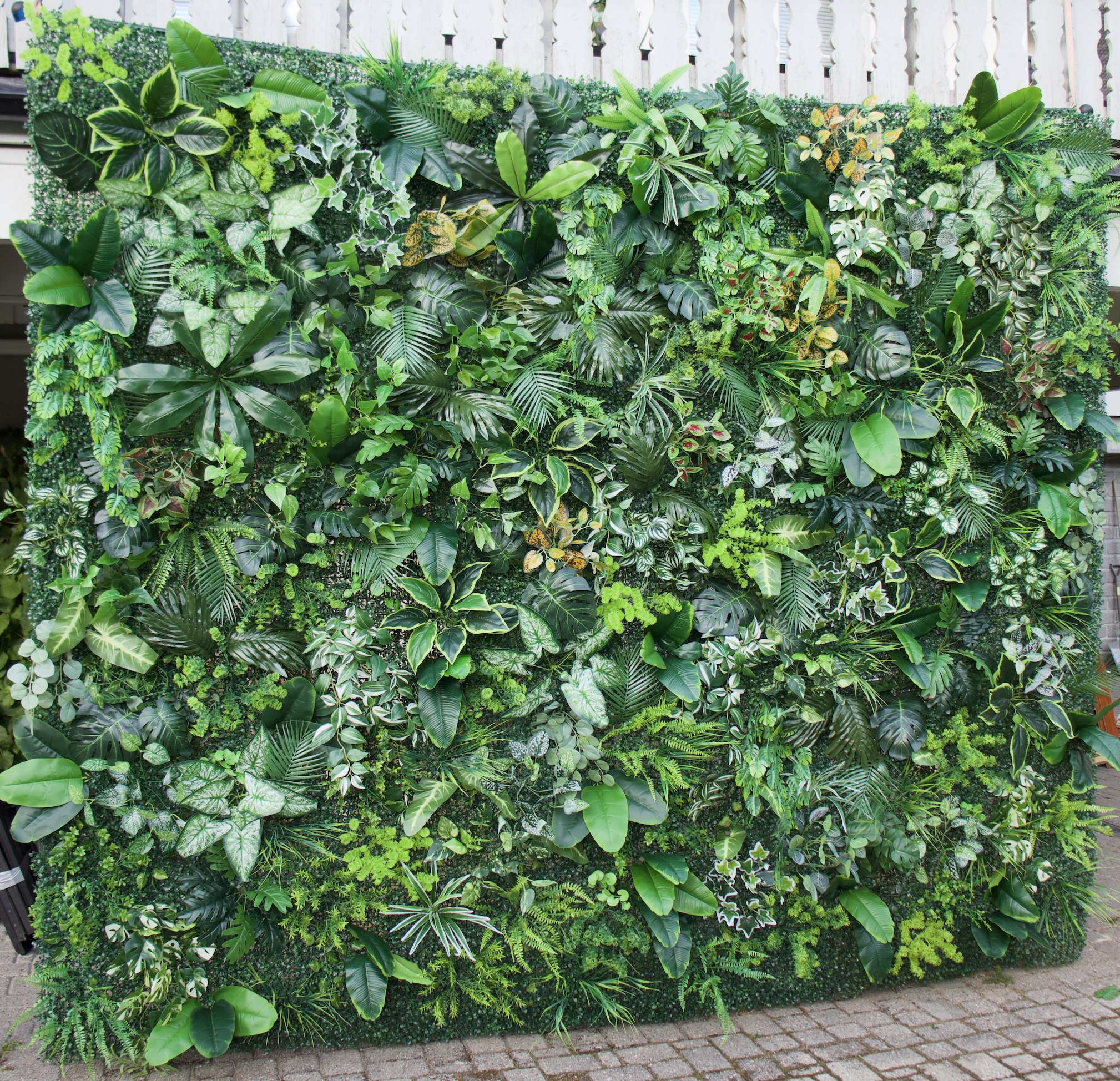 Grønn plantevegg 