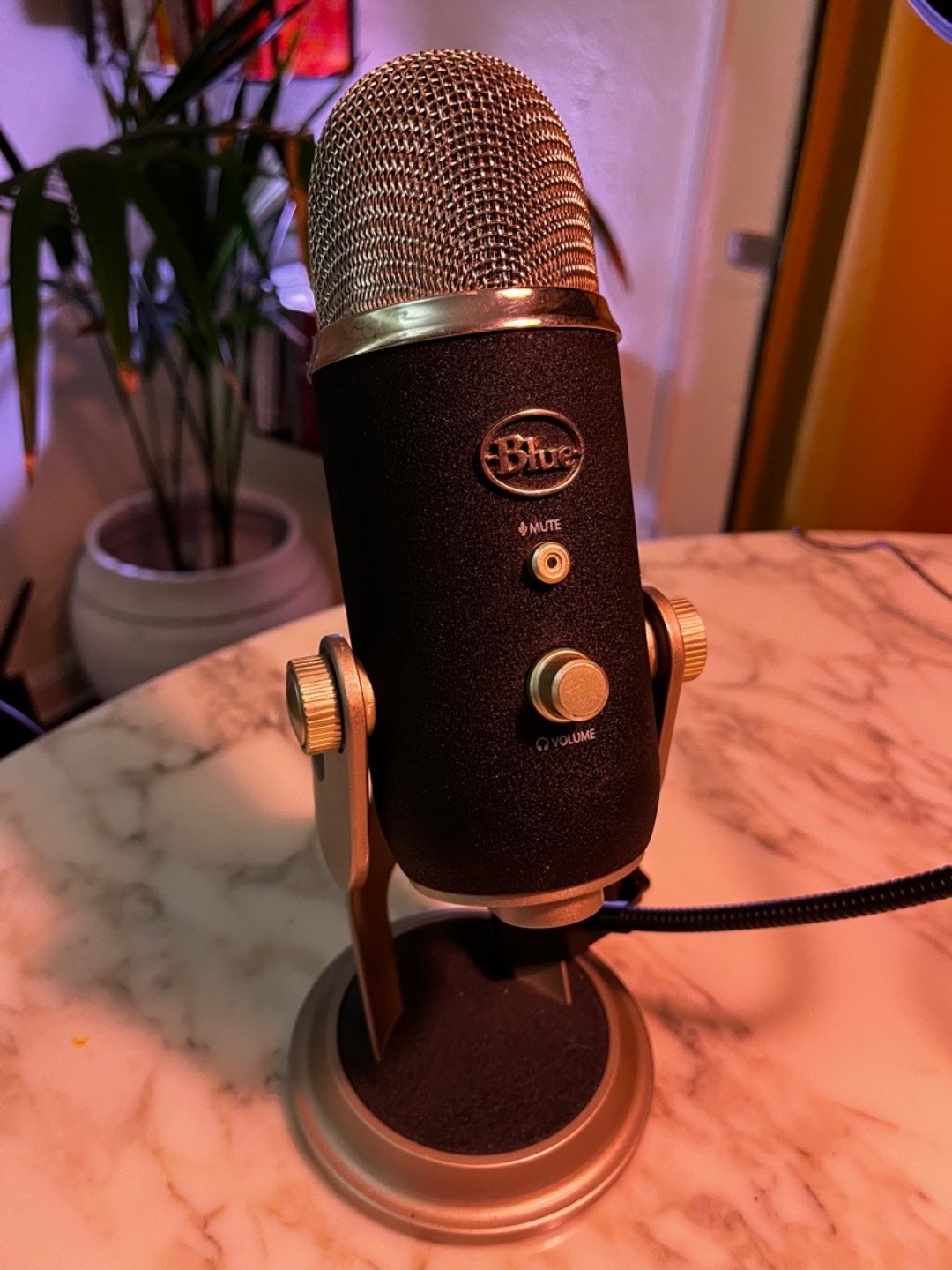 Blue microphones yeti pro