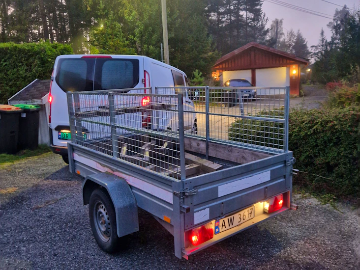 Tilhenger med grind og tipp