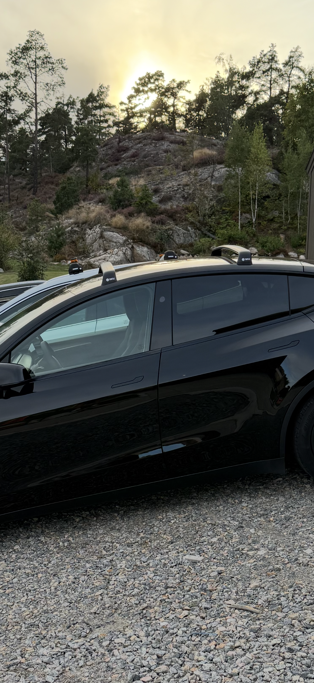 Takräcke turtle tesla model y