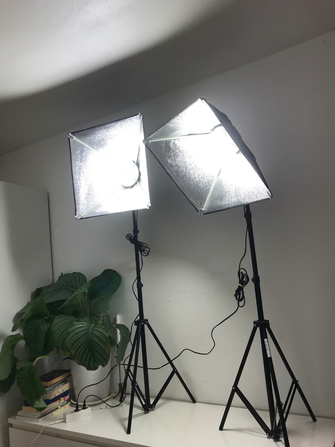 Dagsljus-kit / b-ljus-kit fotografering/film