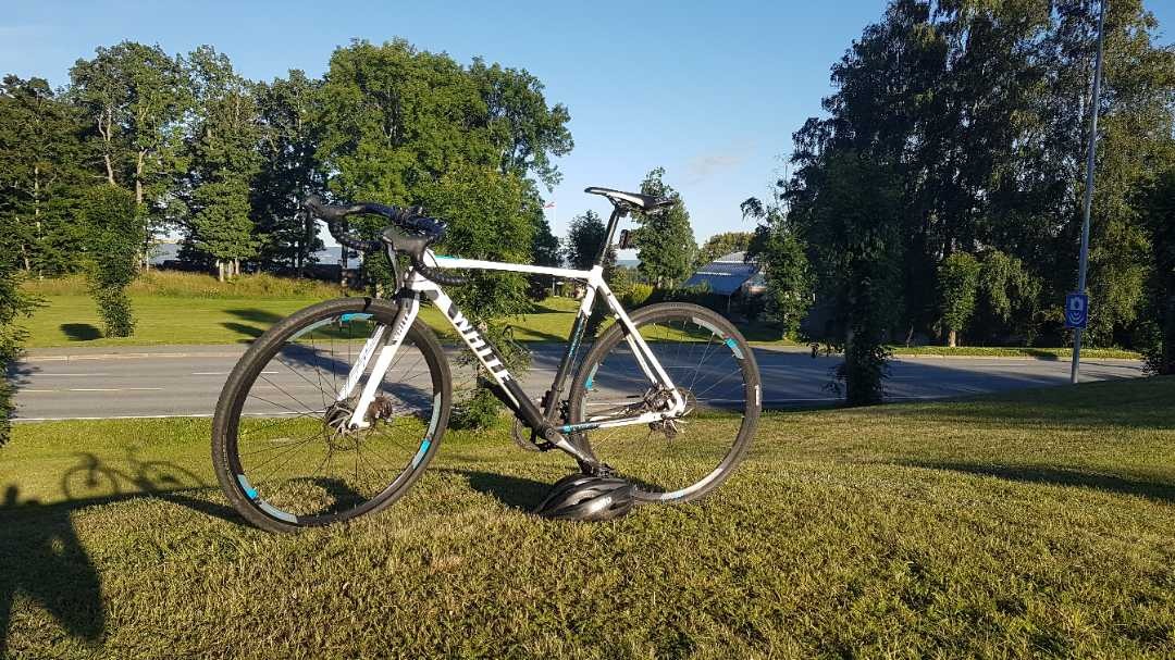 White cx pro cyclocross sale