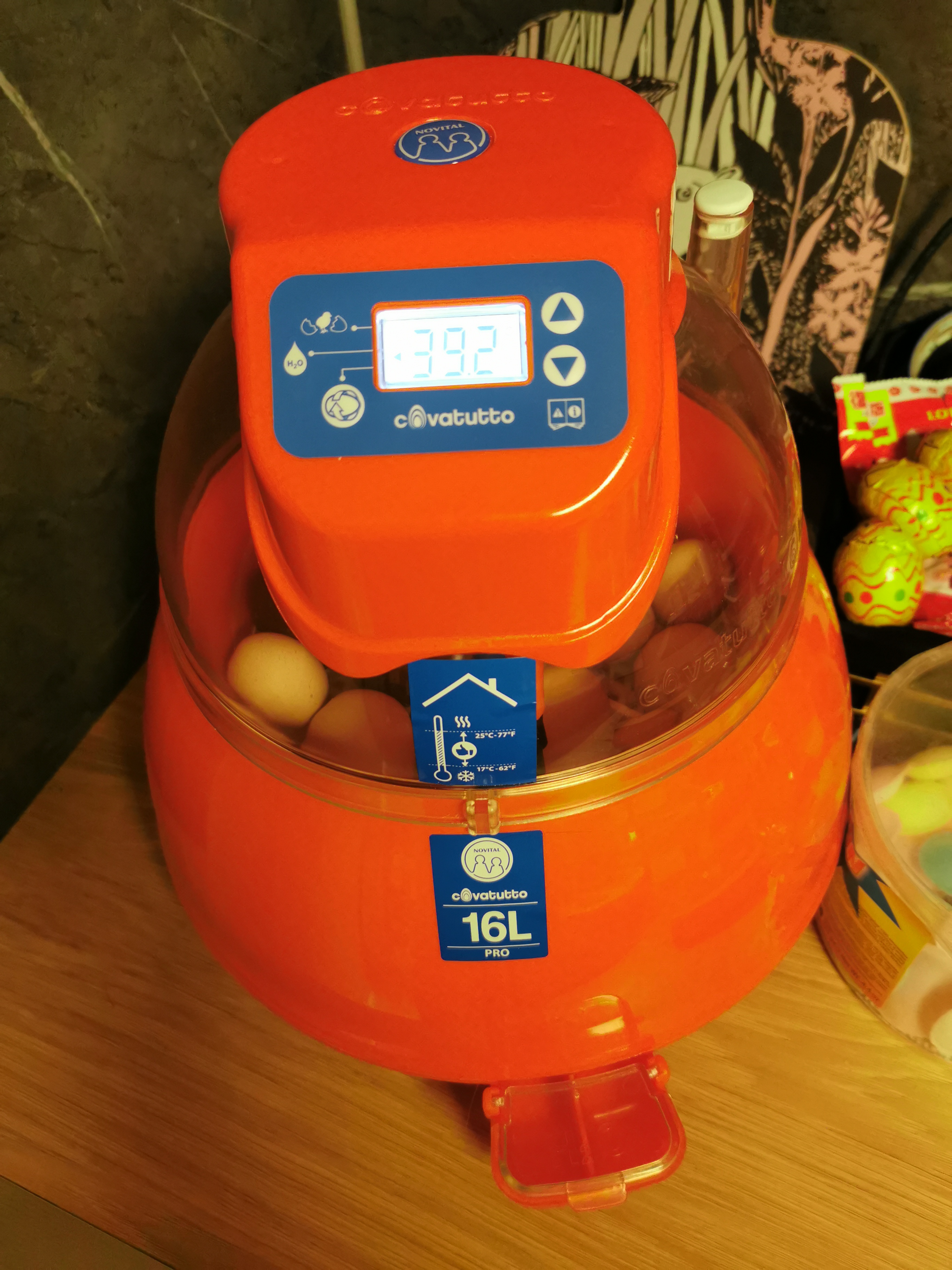 Rugemaskin pro 16 egg