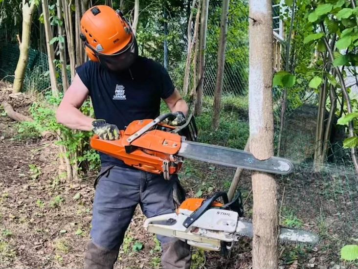 Komplett motorsågspaket – husqvarna 372 xp + stihl ms 261