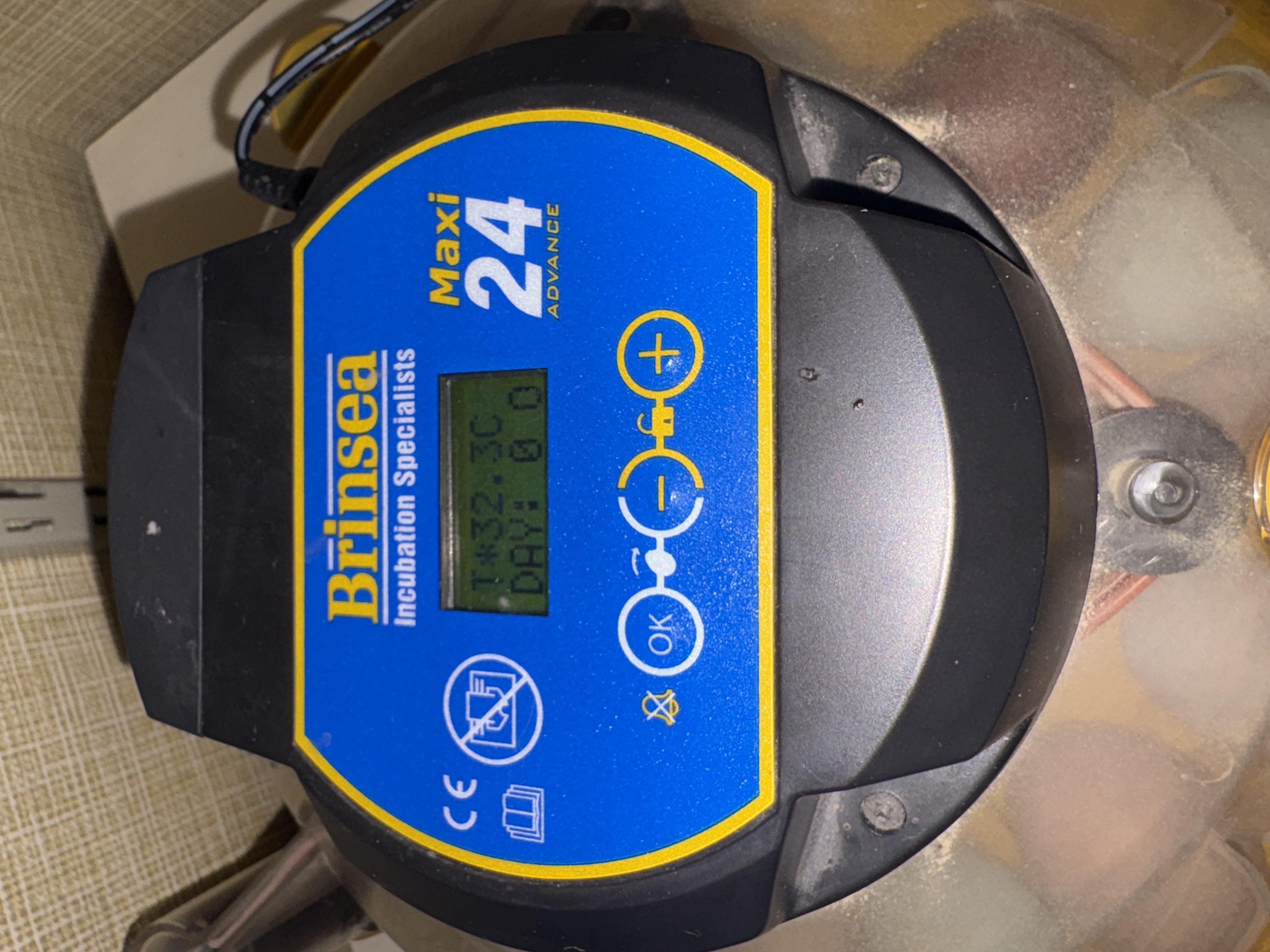 Äggkläckningsmaskin brinsea maxi advance 24