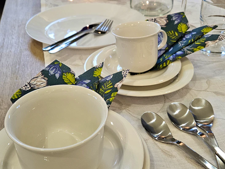 Juhla-astiasto – vuokrataan edullisesti yli 50 hengen juhla-astiasto!