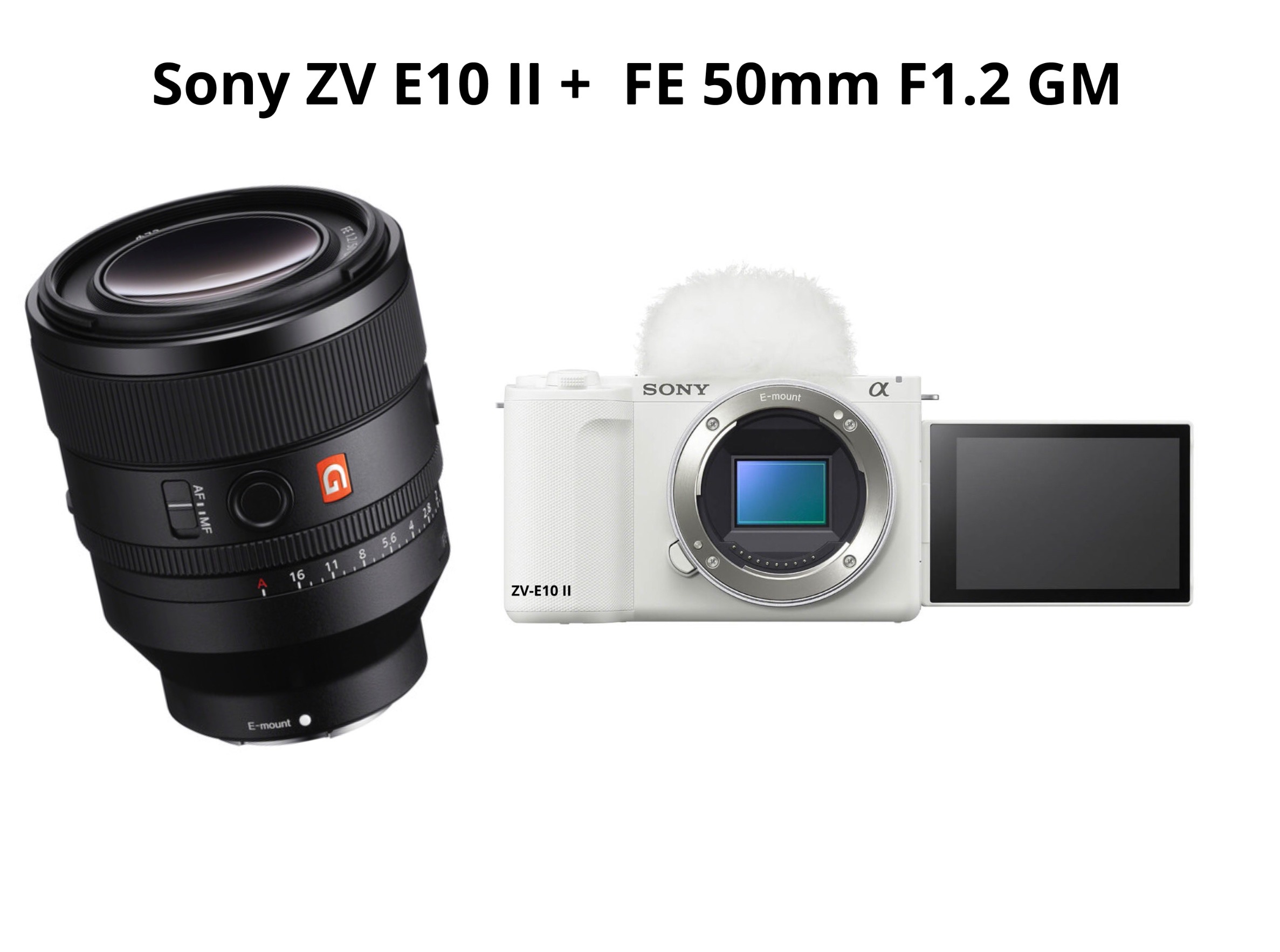 Sony zv-e10 + fe 50mm f1.2 gm