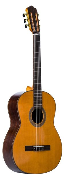 Kassegitar