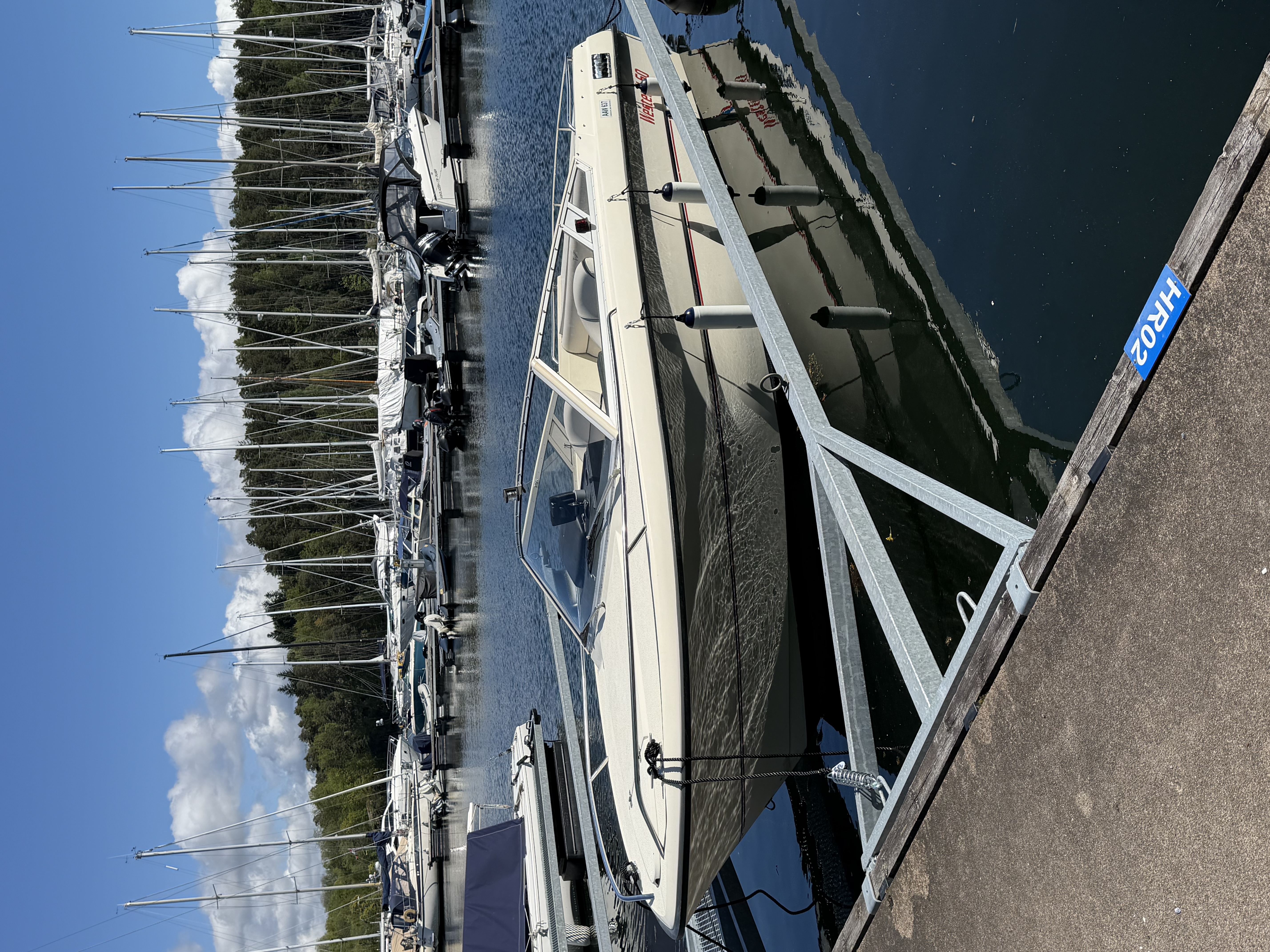Wester 560