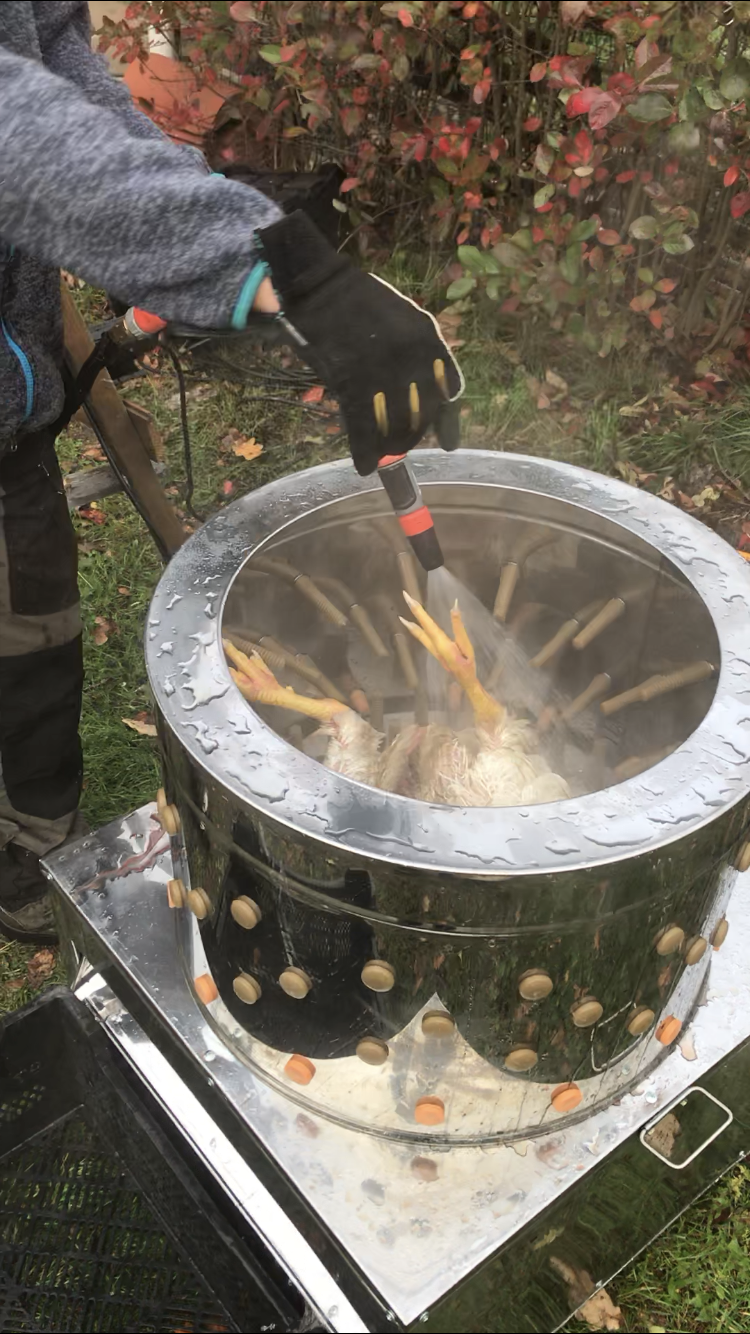 Plockmaskin för slakt av kyckling m.m.