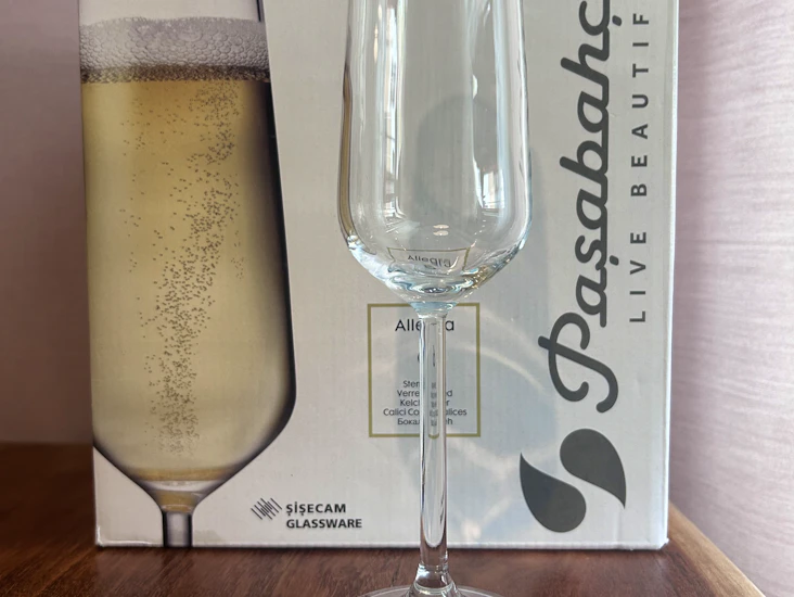 18 kpl shampanjalasia