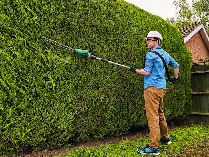 Häcksax bosch universalhedgepole 18 sladdlös / batteridriven