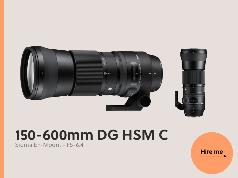 Sigma 150–600mm ef-mount lens