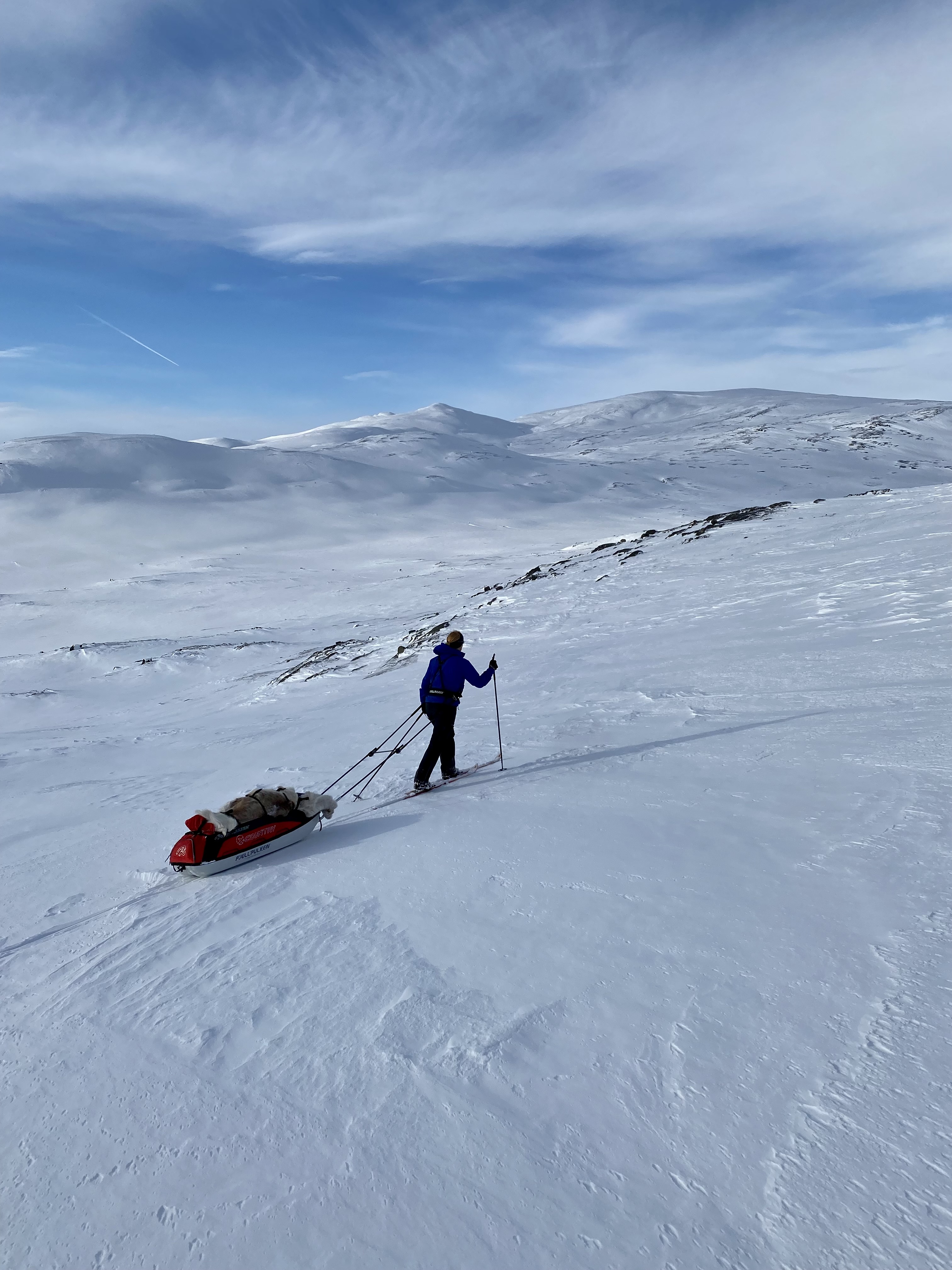 Fjellpulken xcountry 144