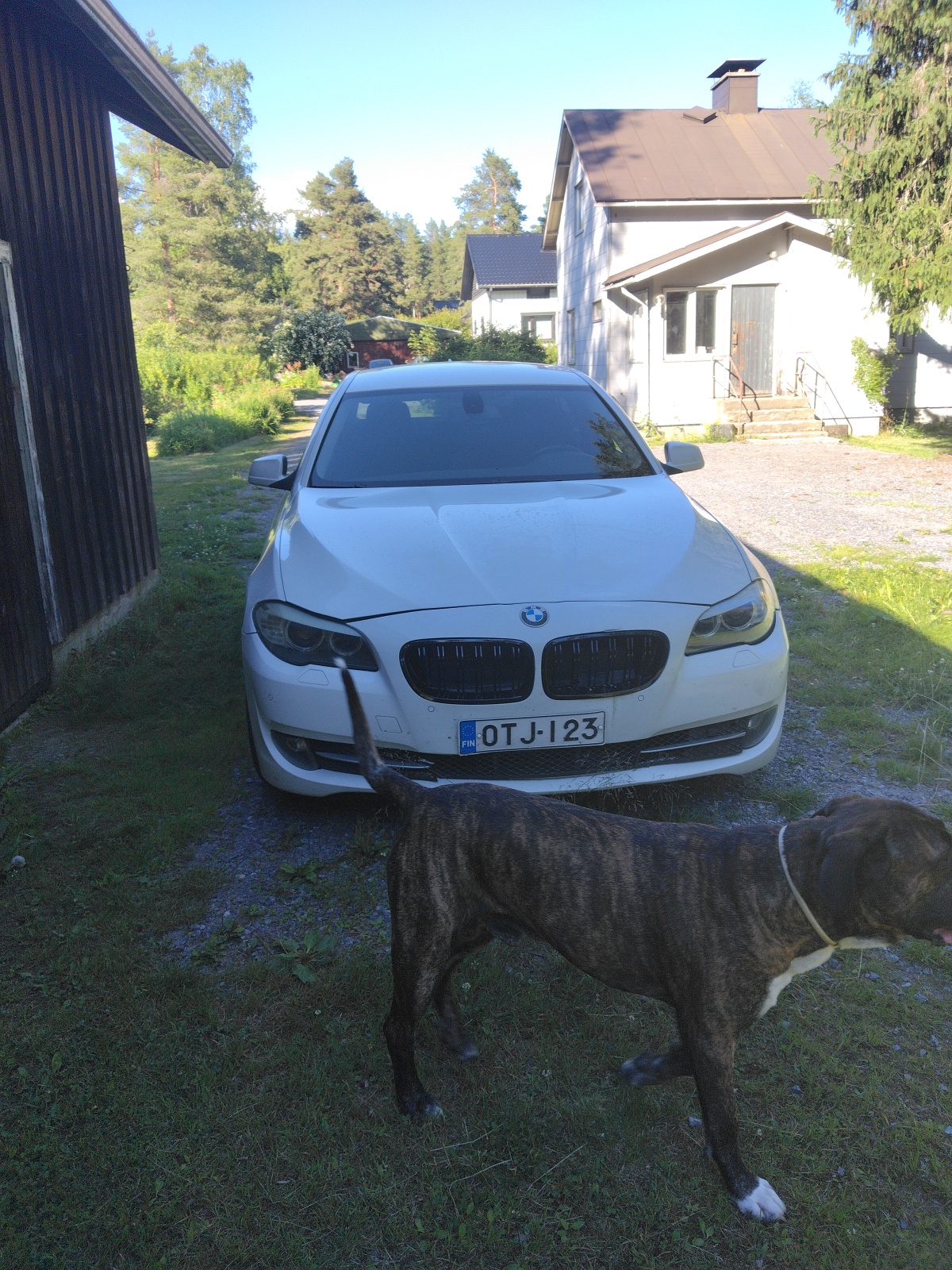 Bmw f10 525