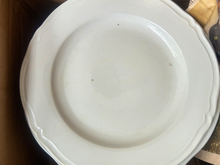 15st stora vita porslintallrikar med mönstrad kant